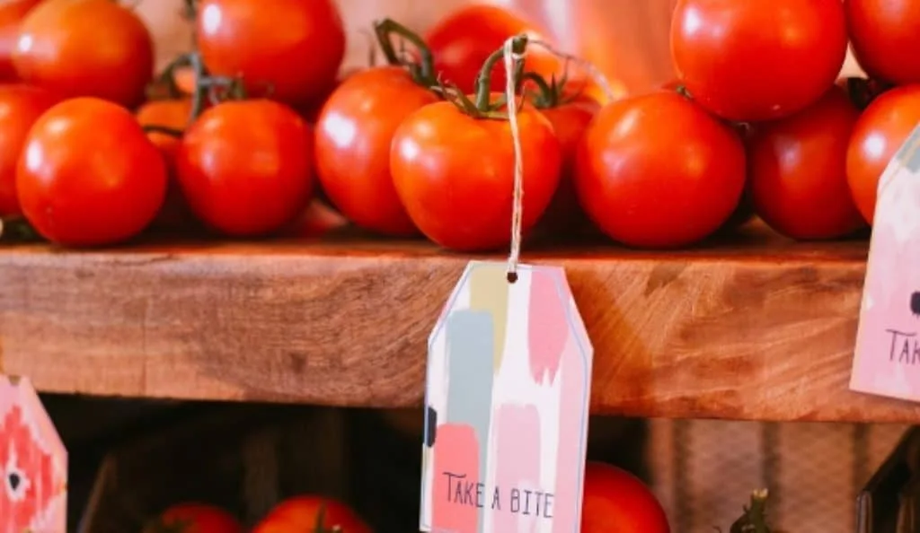 Jaffa style wedding — 6