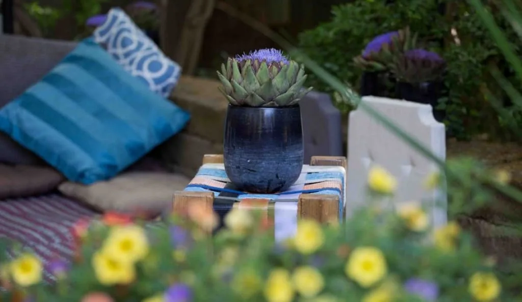 Back yard villa wedding — 4
